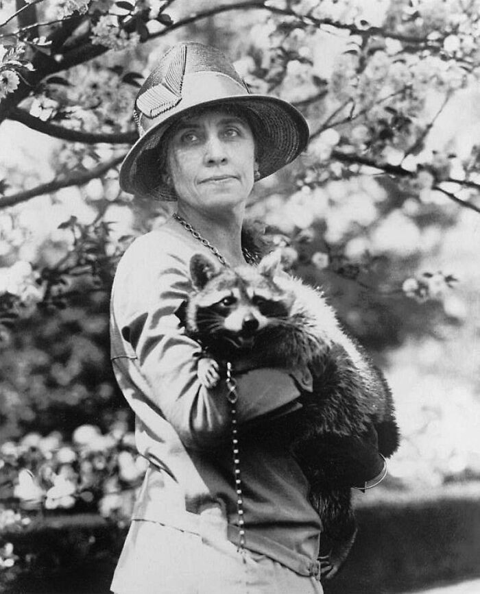 14. That is one lucky raccoon