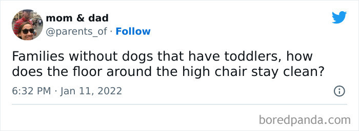 Even in my house with a dog, it still doesn't stay clean, honestly, but the dog does help.