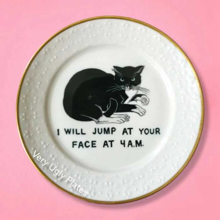 14. Setting the alarm for 3:50 a.m.