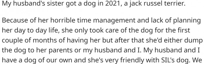 Her husband's sister got a Jack Russell Terrier a couple of years ago. It is a highly energetic breed, and she doesn't really have time for it. So OP, her husband, and mother-in-law do most of the dog-watching.