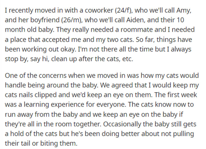 OP's post explains her roommate situation and what she's noticed regarding the baby and her cat.