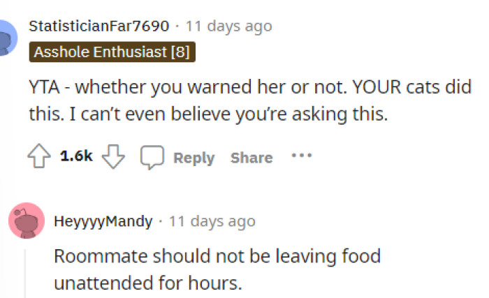 This is when a lot of people said that OP's cat did it, but others pointed out that the roommate shouldn't have left her food out.