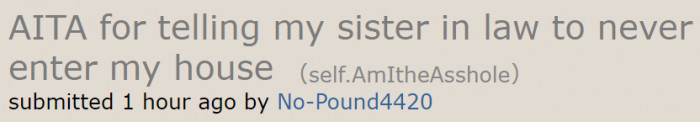 The woman shared what happened with her SIL on the AITA subreddit.