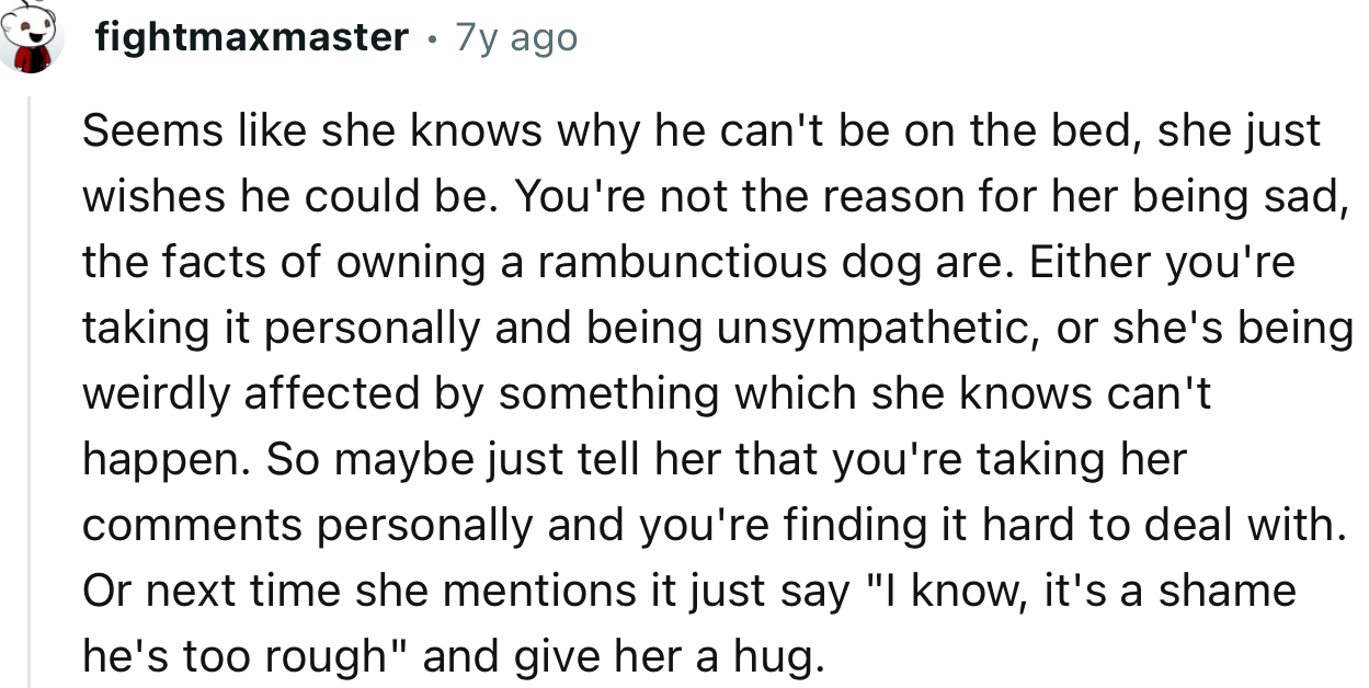“You're Not the Reason for Her Being Sad; the Facts of Owning a Rambunctious Dog Are.”