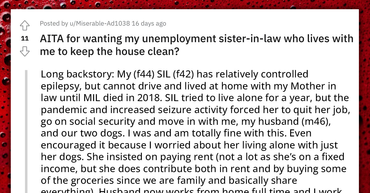 Redditor Asks If It’s Unreasonable To Expect Her Unemployed Sister-In-Law Living With Her To Clean After Her Husband And Dogs
