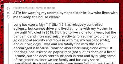 Redditor Asks If It’s Unreasonable To Expect Her Unemployed Sister-In-Law Living With Her To Clean After Her Husband And Dogs