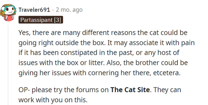 Here's what people have to say: