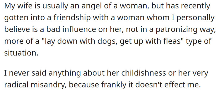 OP said he believes his wife's new friend has a bad influence on her