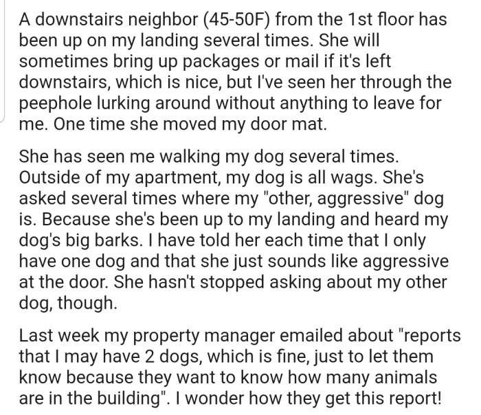 OP's neighbor has a habit of lurking around her landing