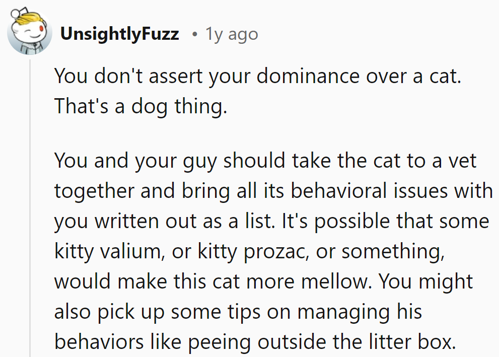 Taking the cat to the vet together might unveil solutions—kitty Valium or Prozac, anyone?