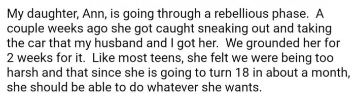 OP's admits her daughter, Ann has been going through a rebellious phase, and has been grounded recently