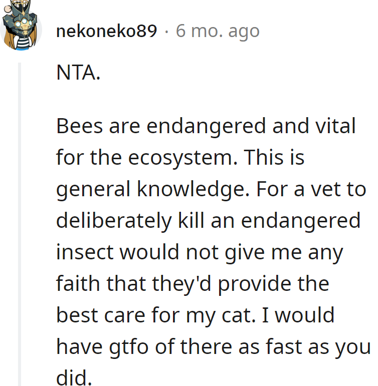 Vet crushing a bee is like a gardener mowing down a rose. Bees might be small, but they're VIPs of the ecosystem!