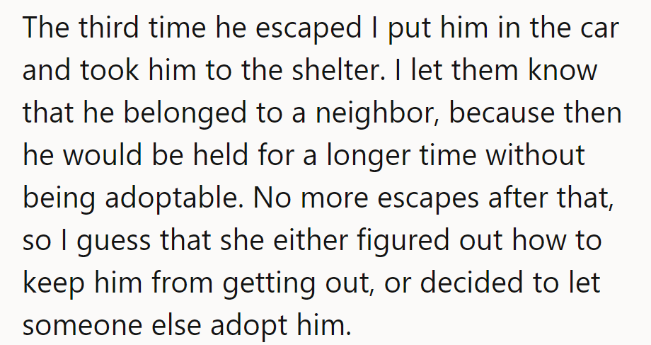 Third time's the charm: she chauffeured him to the shelter for an extended stay—no more escapades since!