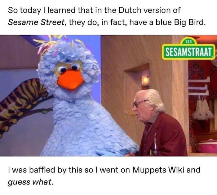 The conversation took an unexpected turn when a Dutch member of their group chat innocently inquired, 