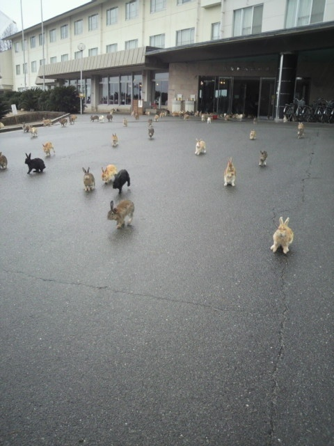 Old poison gas factory in Okunoshima, Japan