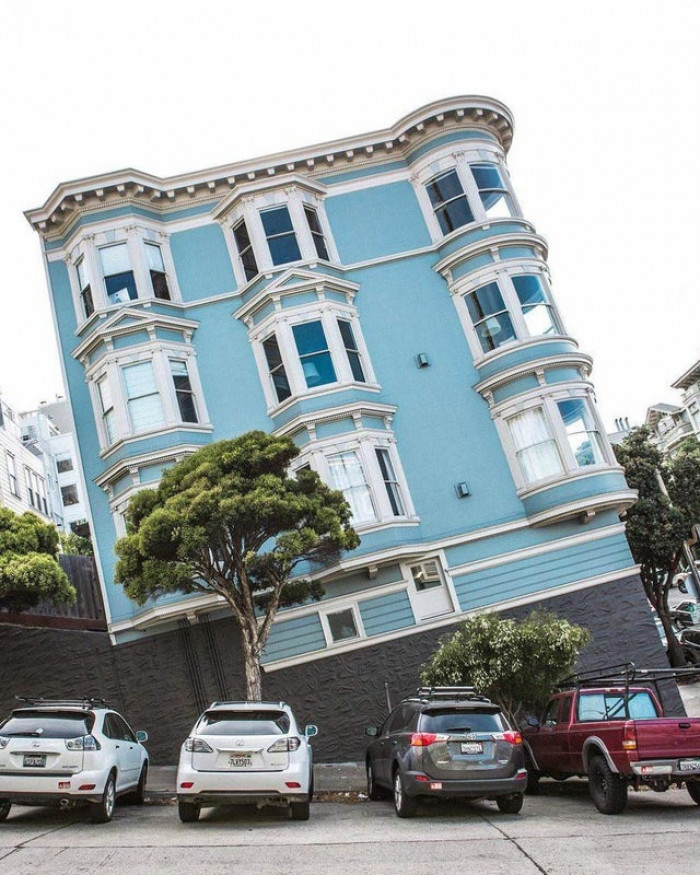 36. Those trees though..