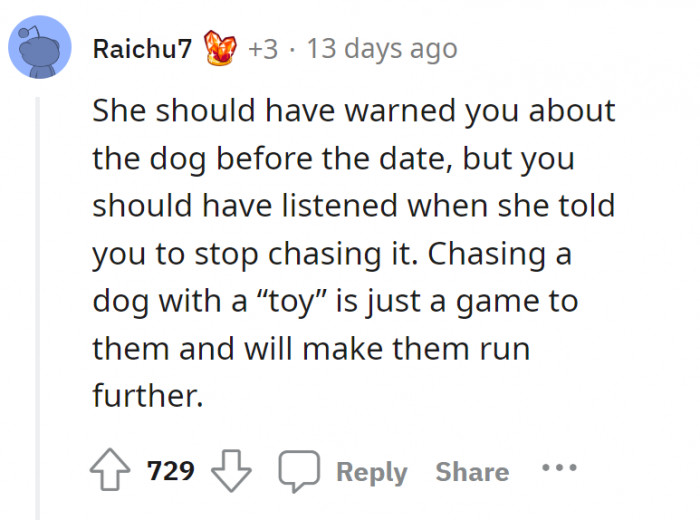 The girl should have said something about the dog. And OP should have stopped running after it.
