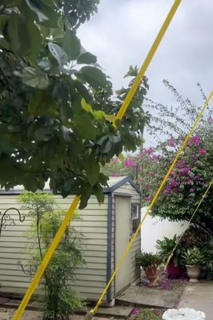 Pedro Casares secured his house with plastic cables and metal clasps.