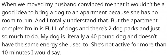 Now that OP has an apartment in a dog-friendly building and a couple of dog parks nearby, she wants the dog back. This is especially true now that she works from home while her husband is in the office.