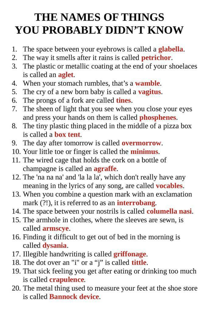 40. A Cool Guide To The Names Of Things You Probably Didn't Know