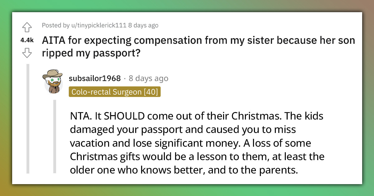 Woman Misses A Trip To Disneyland Because Her Jealous 7 Y.O. Niece Ripped Her Passport, Asks Compensation From Her Sister