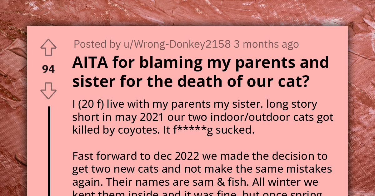 Redditor Furious At Sister And Parents For Causing Family Cat’s Death