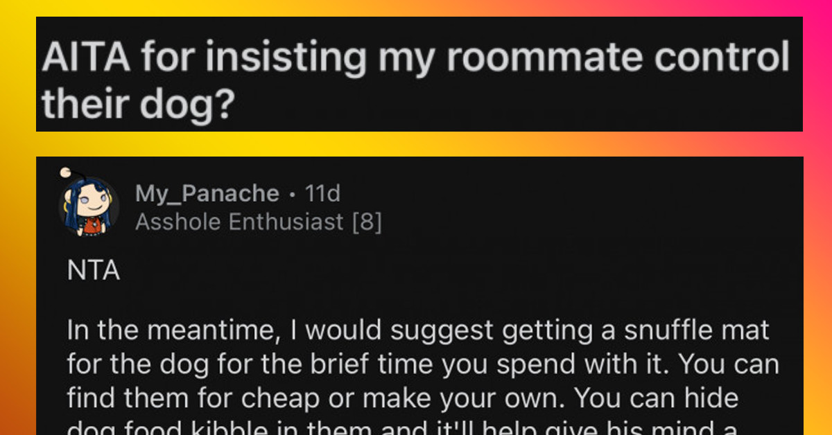 Redditor Insists That Roommate Control His Dog That Barks Constantly