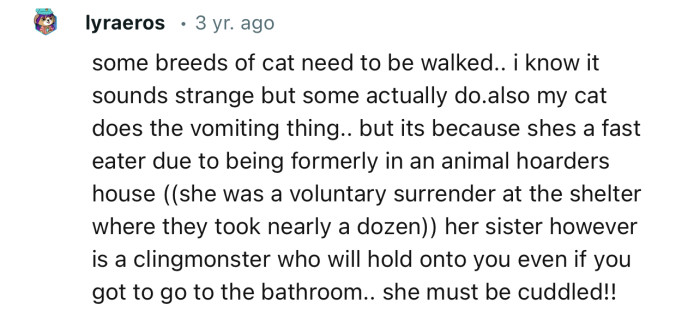 “Some breeds of cat need to be walked... I know it sounds strange, but some actually do.”
