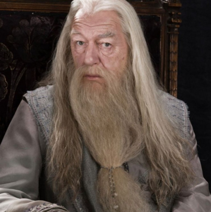6. Albus Dumbledore
