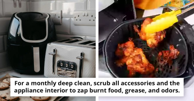 Air Fryers Might Pose Health Risks When Used Too Much vs. Traditional Ovens