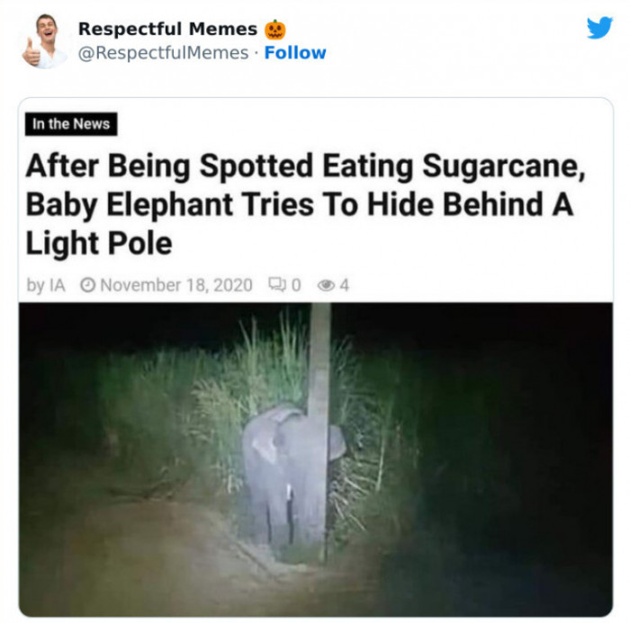 6. What an Adorable Nerd