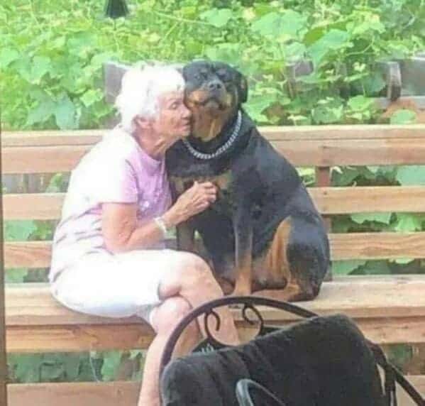 13. They're buddies for life