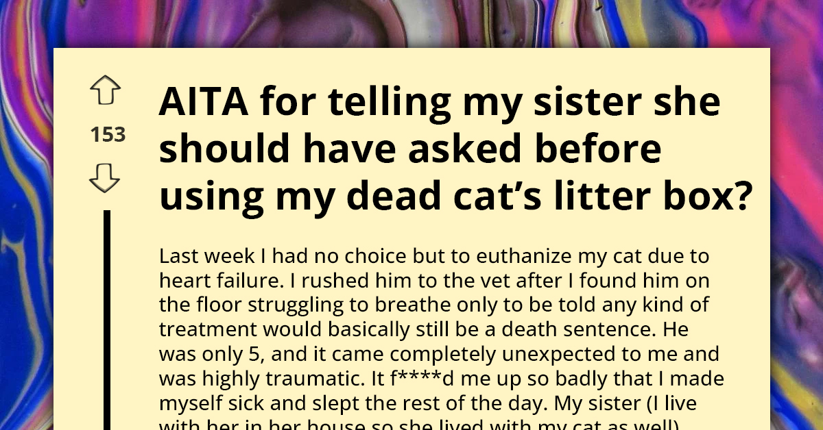 Redditor Outraged As Sister Takes Late Cat’s Litter Box Without Asking