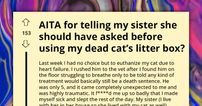 Redditor Outraged As Sister Takes Late Cat’s Litter Box Without Asking