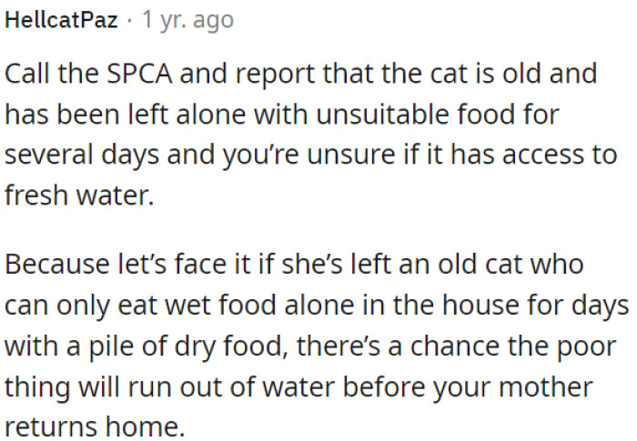 OP could contact the SPCA about the elderly cat being left alone with improper food for days and concerns about access to fresh water.