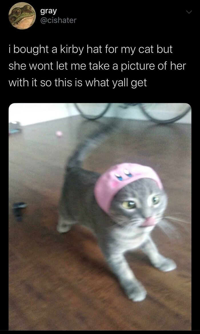 35. She Clearly Doesn't Like It