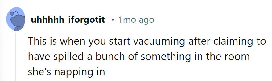 Time to 'accidentally' spill some crumbs and bring out the vacuum orchestra!