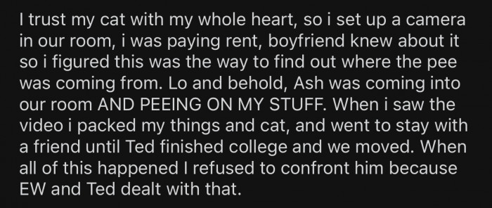 OP was shocked after finding out that it was actually Ash who was peeing on her stuff.