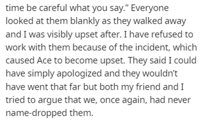 Ace Told OP That Everything Could Have Been Avoided If They Had Just Apologized