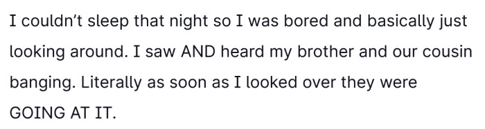 When the OP couldn't sleep, she overheard her brother and cousin having sex.