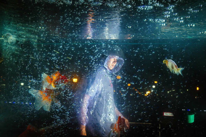 I Love Water, I Love Fish, I Love Cherry Blossoms By Rattanun Rungpittaryaton, Jurors' Pick