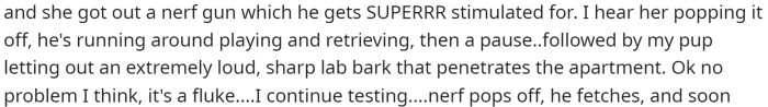 They go on to explain that their friend started playing with their dog using a Nerf gun, and this is when things started getting chaotic.