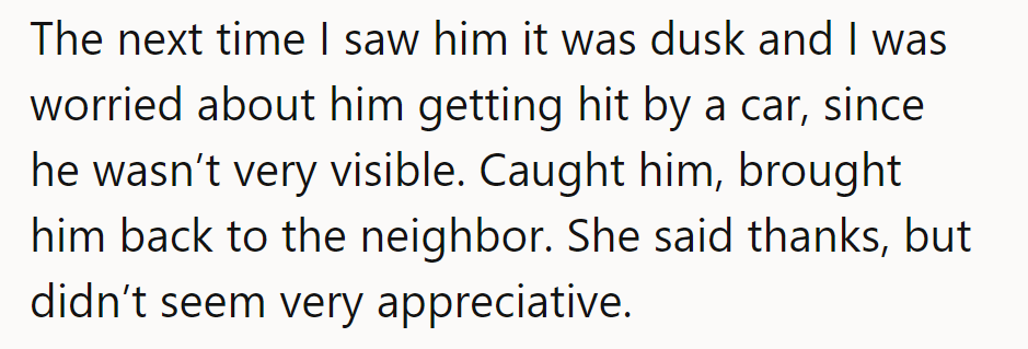 Caught him at dusk, fearing a car collision; returned him, but thanks lacked appreciation vibes.