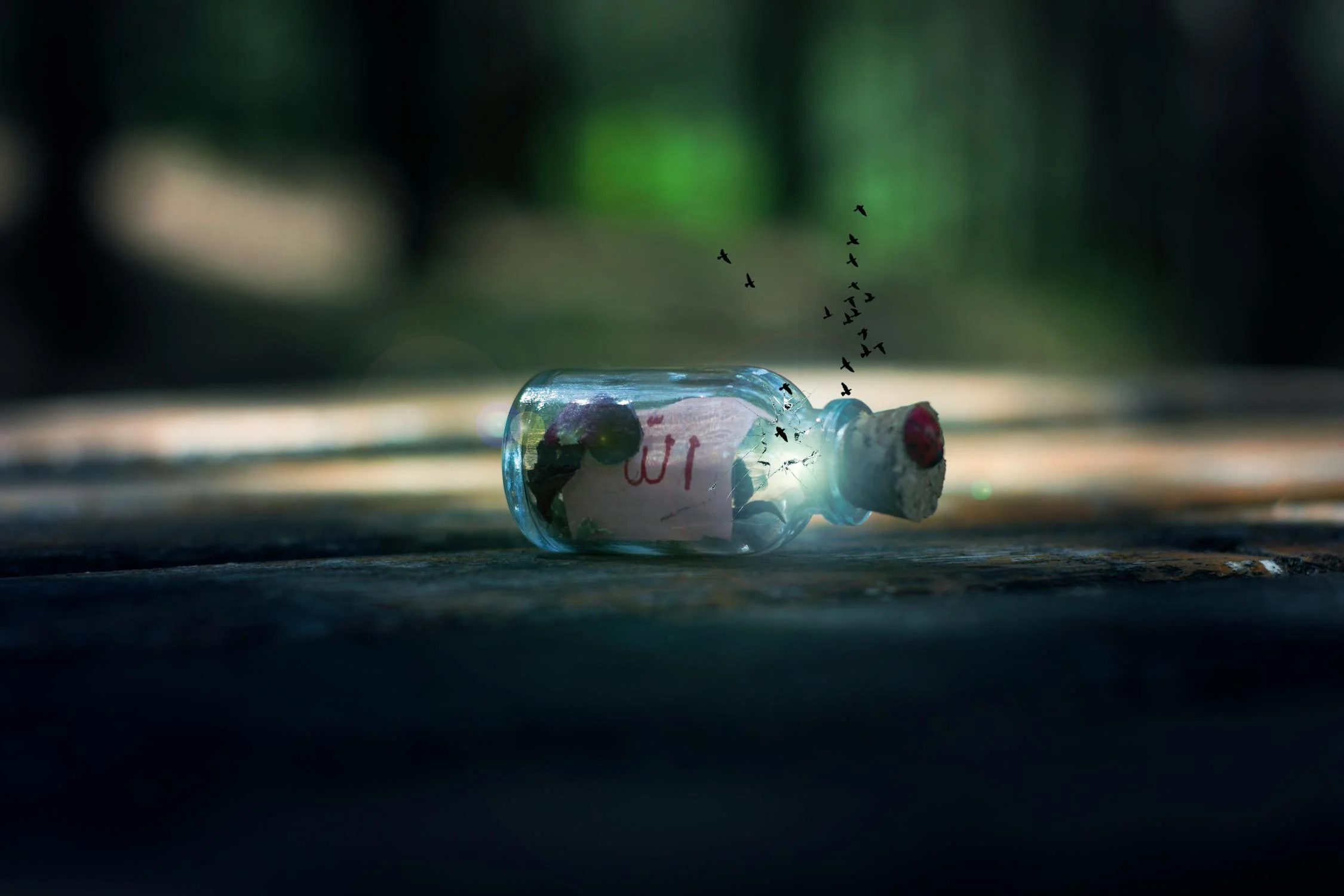 Messages in bottles have long enchanted people with their mystery and nostalgia, with records dating back as far as 310 B.C., when Greek philosopher Theophrastus used them to study—well, ocean currents.