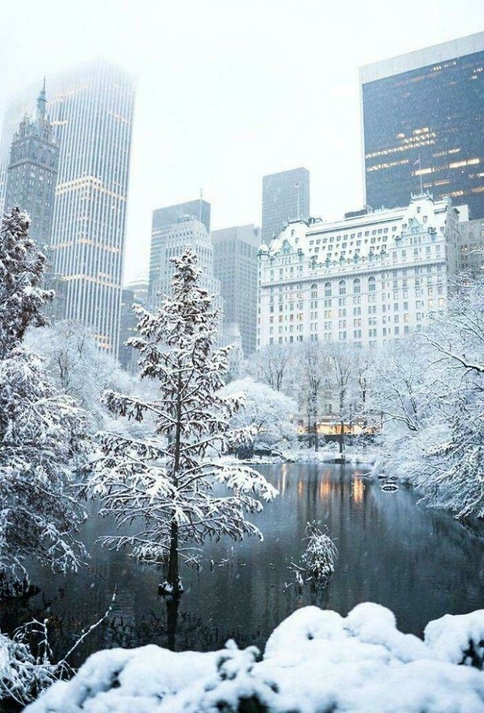 Central Park In NYC
