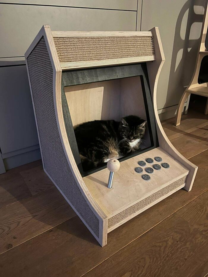 "I Wanted Cat Furniture I'd Actually Want To Display In My Living Room"