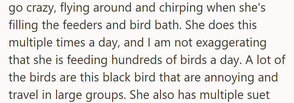 From his window, he observes her feeding hundreds of birds daily, including annoying blackbirds in large groups.