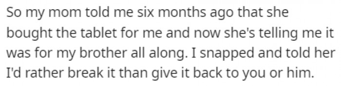 OP snapped after hearing this and told her mom that she would rather break the tablet than give it to her brother