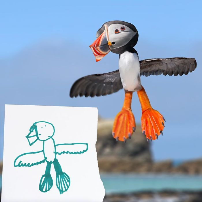 25. Who else thinks that it is a puffin?