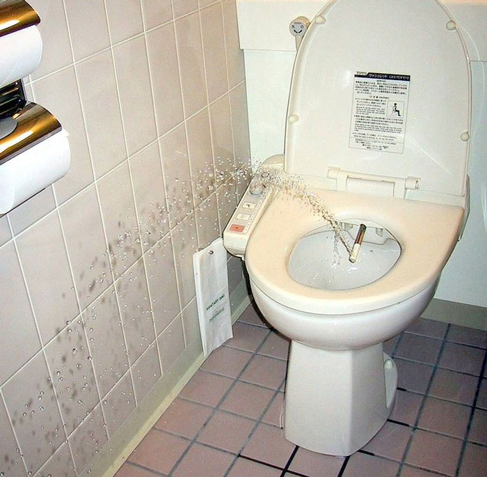 12. I got a bidet.